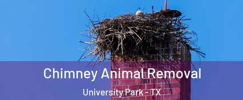  Chimney Animal Removal University Park - TX