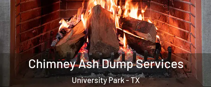  Chimney Ash Dump Services University Park - TX