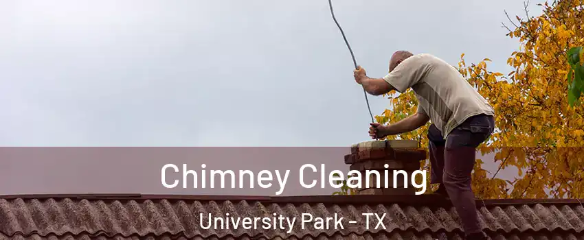  Chimney Cleaning University Park - TX