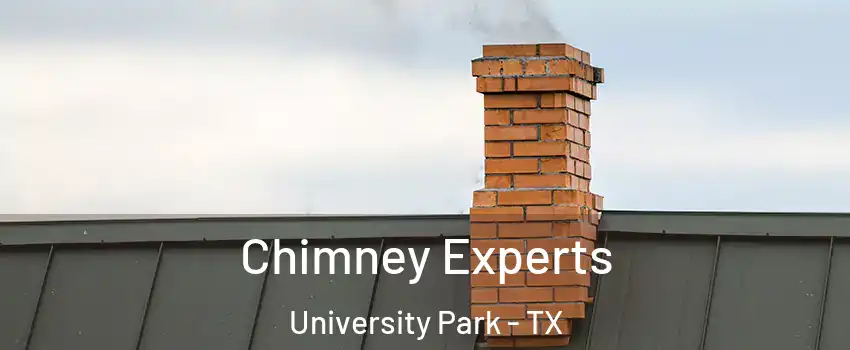  Chimney Experts University Park - TX
