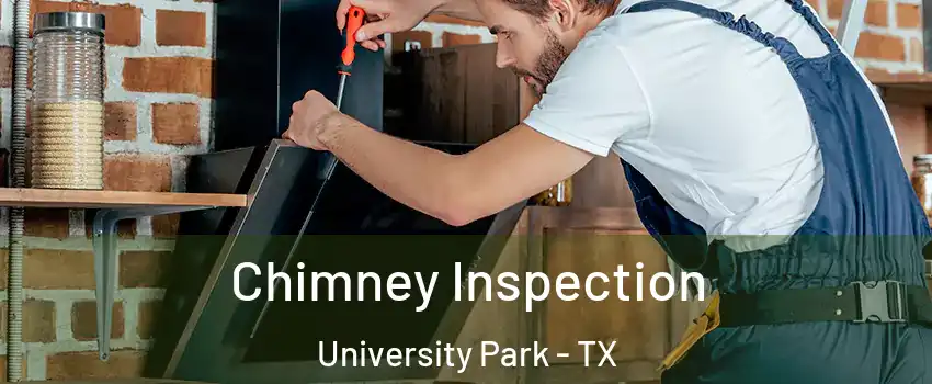  Chimney Inspection University Park - TX