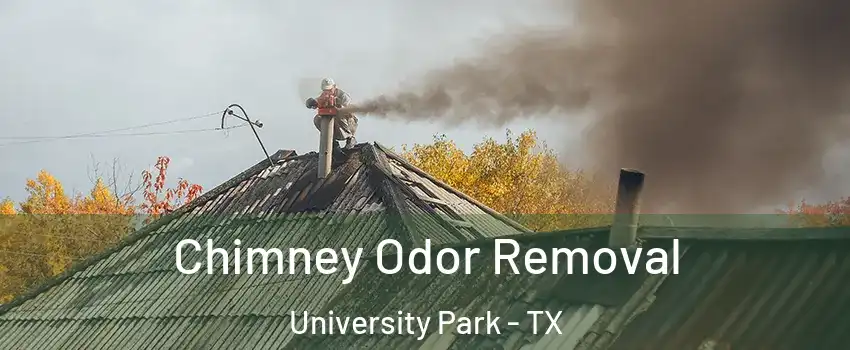  Chimney Odor Removal University Park - TX