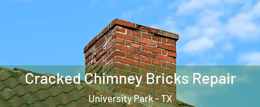  Cracked Chimney Bricks Repair University Park - TX