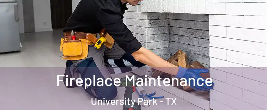  Fireplace Maintenance University Park - TX