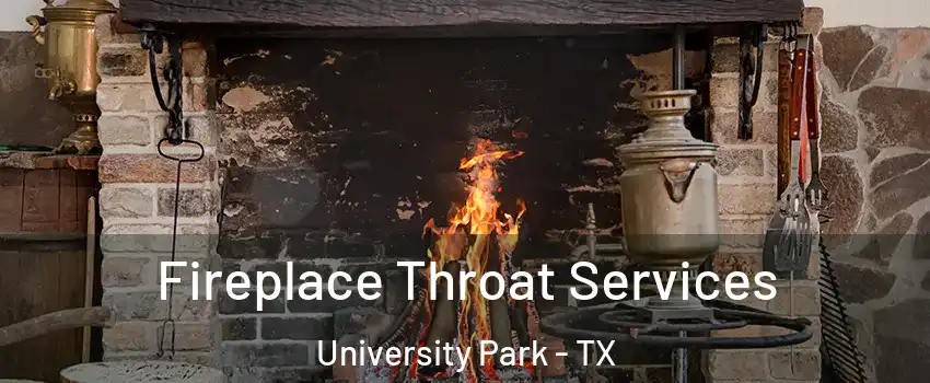  Fireplace Throat Services University Park - TX