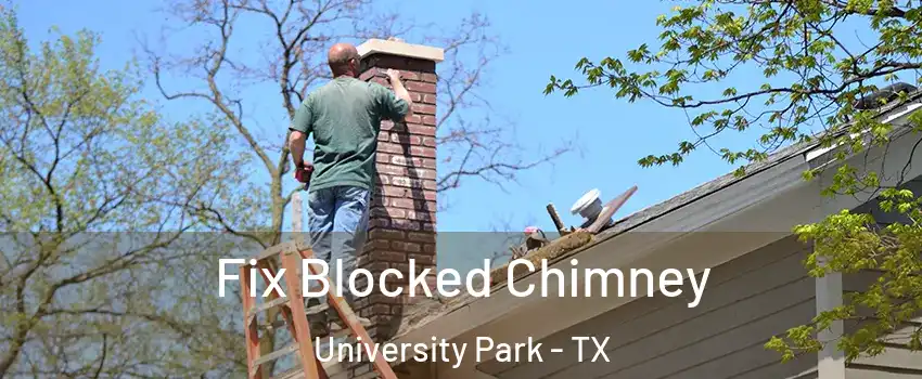  Fix Blocked Chimney University Park - TX