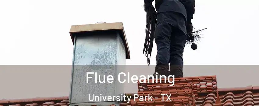  Flue Cleaning University Park - TX