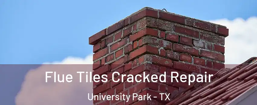  Flue Tiles Cracked Repair University Park - TX