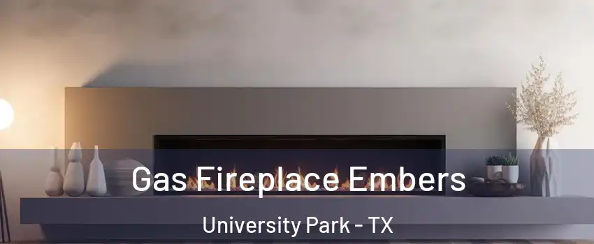  Gas Fireplace Embers University Park - TX