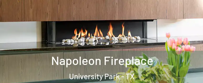  Napoleon Fireplace University Park - TX